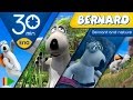 Bernard Bear | Bernard and nature | 30 minutes