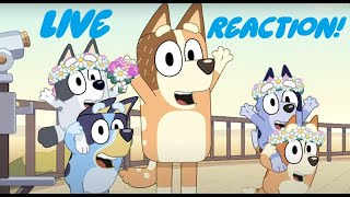Bluey The Sign Live Reaction