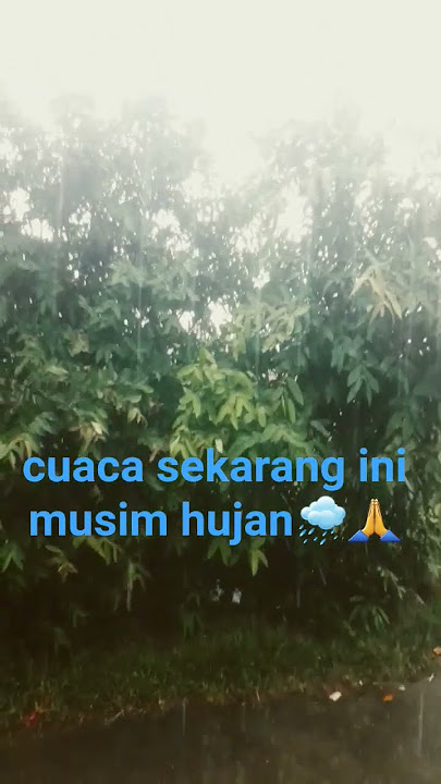 sekarang musim hujan ⛈🌧