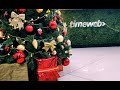 Новогоднее поздравление от Timeweb | Дарим подарки!