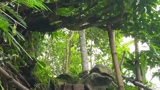 Liburan ke Bumi Seni Tari Kolot Desa Sukamukti Kuningan Jawa Barat