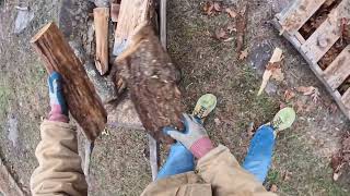 Bringing Firewood in Before the Snowstorm