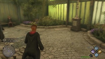Hogwarts Legacy stuck ingame fix