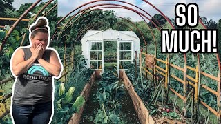 Spring Garden Prep: Cleaning, Planting & Greenhouse Clean Out | Vertical Garden Arch | Farm Life