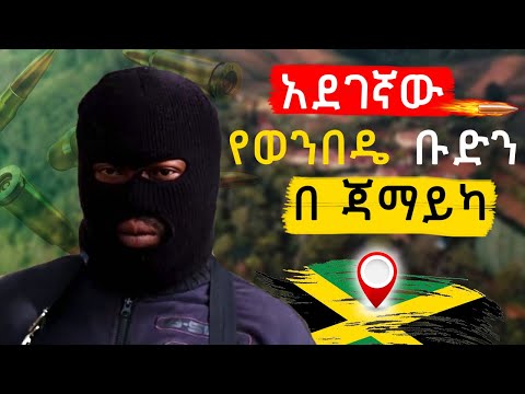 ቪዲዮ: የወንበዴ ዝንብ መረጃ - በአትክልት ስፍራ ስለሚገኙ ዘራፊዎች ይወቁ