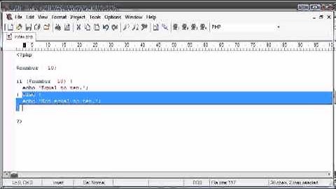 Beginner PHP Tutorial 19-if else if Statement