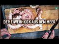 Der Eiweiß-Kick aus der Tiefe des Meeres