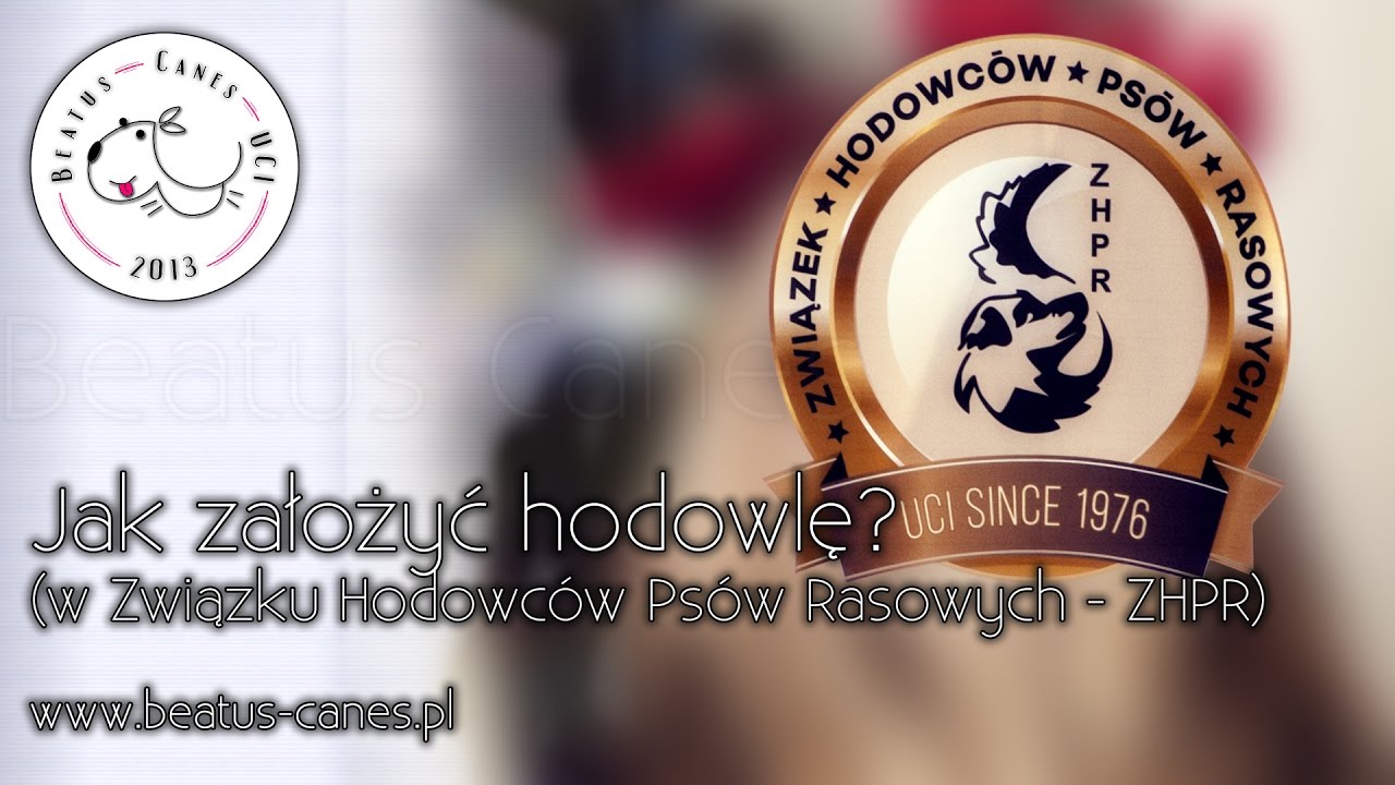 Jak założyć hodowlę w ZHPR?