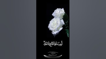 صباح الخير 🤍حالات واتس اب مقاطع قصيره🤍قران كريم سورة البقره وإذا سألك عبادي عني فأني قريب🤍بدون حقوق