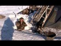 Piekło Syberii - Ekspedycja Stulecia - ReUpload DV-720p