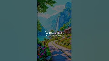 #تلاوة_خاشعة #القرآن_الكريم #راحة_نفسية #دعاء_مستجاب #المصحف #الرحمن #اكسبلور #لايك