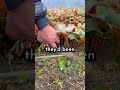 Whats the moment you realized someone was acting way different behind your back#redditstories#reddit