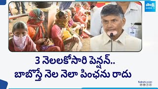 Chandrababu Shocking Comments on Pensions | AP Elections 2024 @SakshiTV