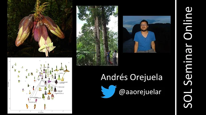 Andrs Orejuela - Roots in the clouds: Evolution of...