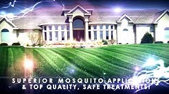 Mosquito Control Stratford CT | Mosquito Treatments Stratford CT | Mosquito Spraying Stratford CT 