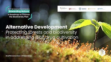 Protecting forests and biodiversity in addressing illicit drug cultivation_draft