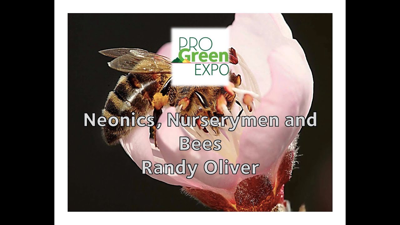 Neonics, Nurserymen and Bees by Randy Oliver