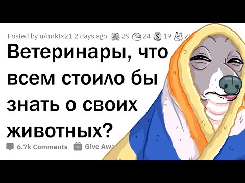 Видео: Не делайте этих ошибок в медицине для домашних животных