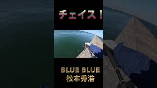 ブローウィン165f 沖堤防シーバス #bluebluefishing