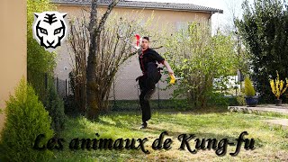 S'entraîner à la maison | Kung-fu en famille