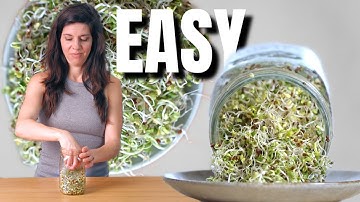 Hoe je broccolispruiten in 5 dagen kweekt