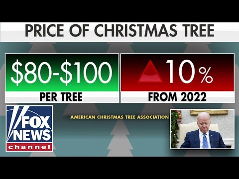 NOT SO MERRY: 'Bidenomics' forcing Americans to forgo Christmas gifts this year
