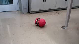 Mechatronics Capstone Project 2018: Smart Dog Toy