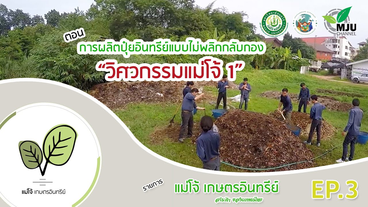 รายการ แม่โจ้เกษตรอินทรีย์ | ตอน การผลิตปุ๋ยอินทรีย์แบบไม่พลิกกลับกอง 