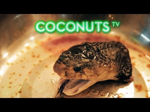Freaky Feasts | The Saigon Snake Experience | Coconuts TV