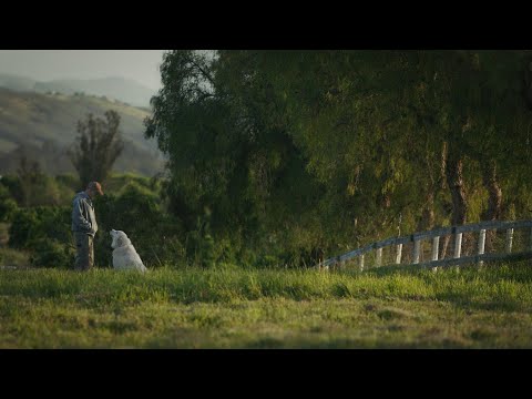 Mi gran pequeña granja - Trailer español (HD)