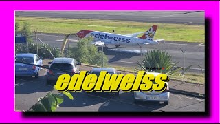 𓂀✅ #Edelweiss_Air 🟡 amazing ✽ #landing ✽ Airbus A320-214 ✽ from Zurich 🧿 to #Madeira ✽ 2023 ✽ 4k⭐⭐⭐𓂀