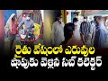 Sub-Collector Inspects Fertilizer Shops In Disguise Of Farmer | Vijayawada | TV5 News Digital