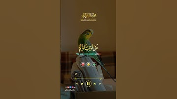 #بسم__الله__الرحمن__الرحيم                تلاوة خاشعة من سورة فصلت❤️🎧