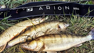 видео: Arion 832LS.С новым спиннингом за осенним судаком.Примета сработала 🙂 картинка: Arion 832LS.С новым спиннингом за осенним судаком.Примета сработала 🙂