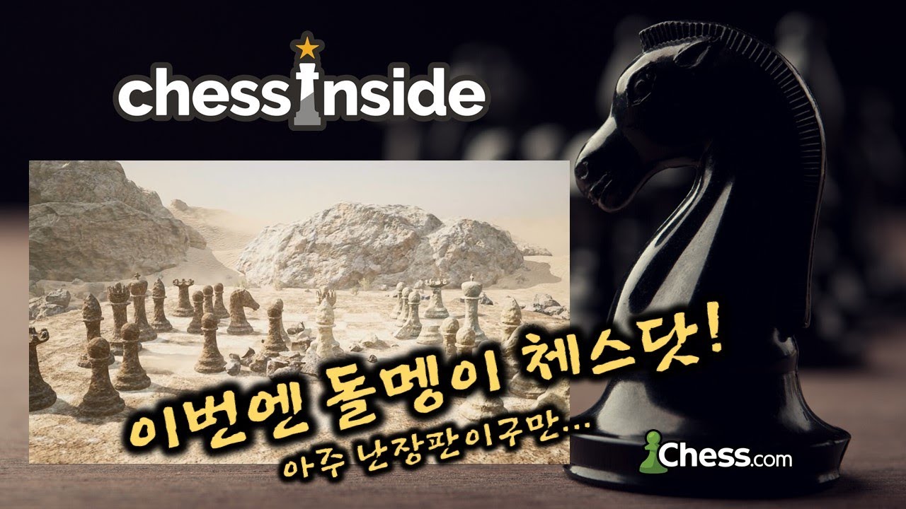 이번엔 돌멩이 체스닷! 그나저나 아주 난장판입니다...ㅎㅎㅎ