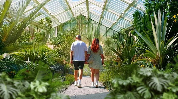 Why you should visit Birmingham’s Botanical Gardens - 330 thumbnail