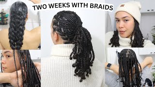 I got tired of doing my curly hair so I braided them. Braids on curly hair without extensions