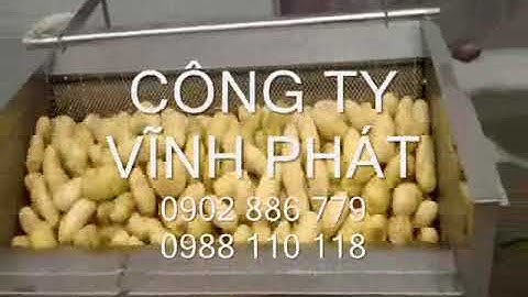Máy rửa khoai tây, khoai lang, máy rửa củ quả nông sản, tự động đánh vỏ, gọt vỏ