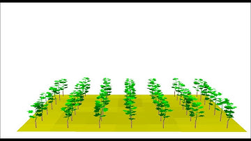 Growth simulation of a grapevine fruit-cutting system