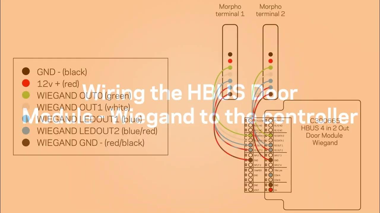 IDEMIA Morpho Wiring HBUS 4 in 2 Out Door Module Wiegand Varient