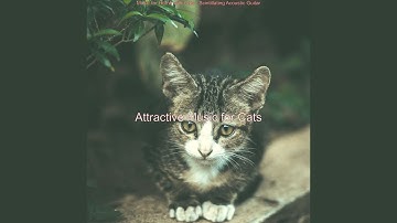 Scintillating Music for Sleeping Cats