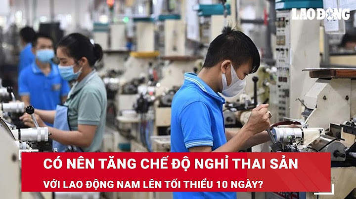 Việt nam trải qua các chế độ xã hội nào năm 2024