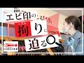 【DIY工具】エビ印の由来は？ロブテックスの秘密を公開!!! #36