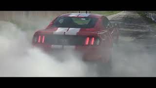 On My Mind  Robert Cristian Reman U0026 Dayana mustang Gt Shelby