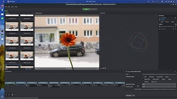 [Part 1] 3D scan of plants, with meshlab - fail