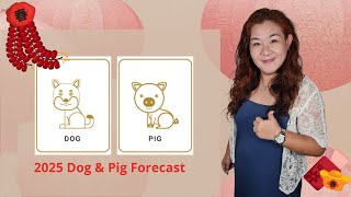 2025 Dog & Pig Chinese Horoscope Forecast #2025chinesezodiac #2025chinesehoroscope Wealth