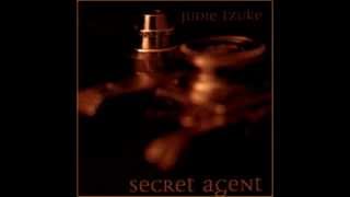 Video thumbnail of "Secret Agent"