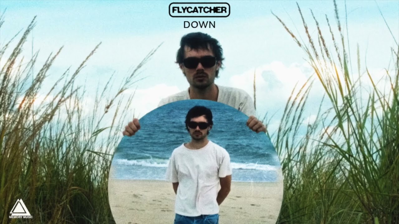 Guarda Flycatcher - Down (Official Audio) su YouTube Guarda Flycatcher - Down (Official Audio) su YouTube
