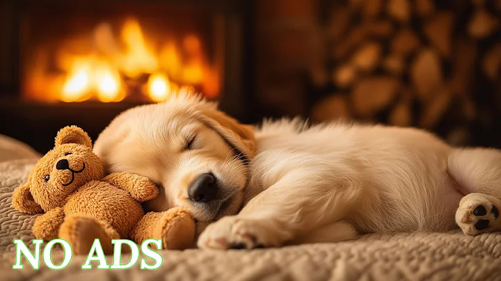 12 Hours of Dog Calming Music 🐶 Dog Anti-Separation Anxiety Relief Music 🐶🎵 Deep Sleep Music