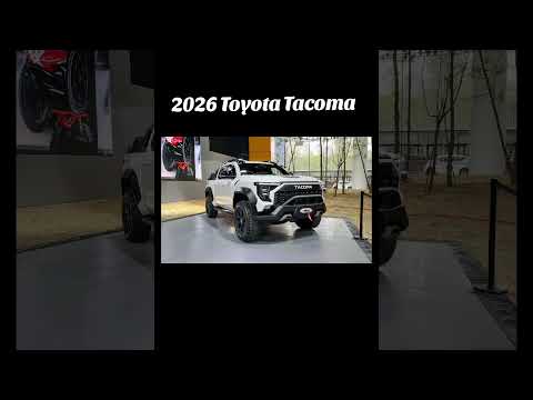 2026   2026 2026 2025